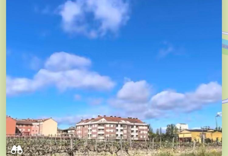 セニセロCasa Cristina - Rioja IIアパートメント エクステリア 写真